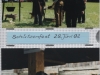 Album2-Bild10