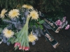 Album2-Bild34