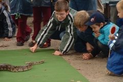 Events/GrosserGarten 2003