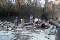 Events/Holz 2005-01-08
