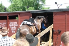 Outlaws/ZÜ050703