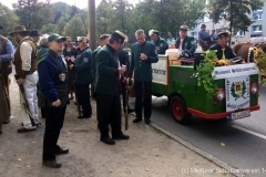 Weinfestumzug 2015